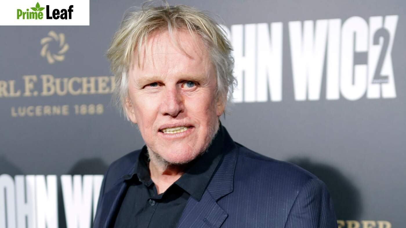 Gary Busey: The Brilliant, Chaotic and Unforgettable Career of Hollywood’s Most Unpredictable Star