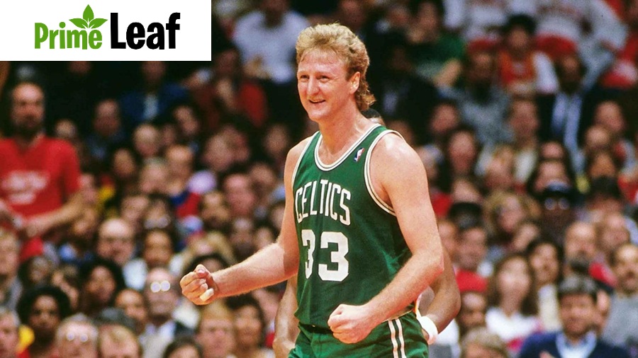 Larry Bird Net Worth Larry Bird Net Worth