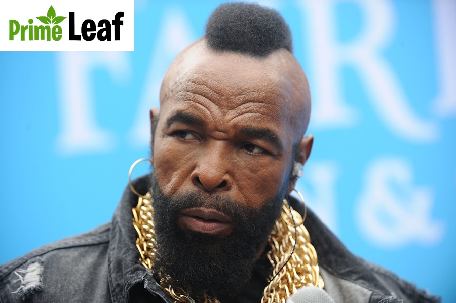 Mr. T