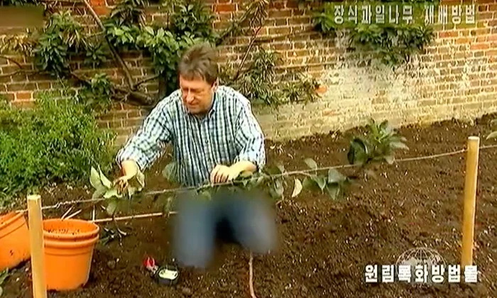 North Korea Trouser Incident