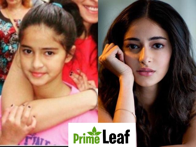 Ananya Panday Then Vs Now