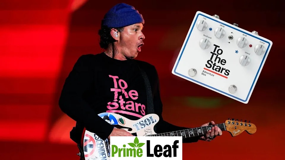 Angels & Airwaves and Solo Work