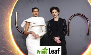 Celebrities’ First Red Carpet vs Latest Appearance: Stunning Transformations Over the Years