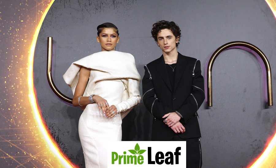 Celebrities’ First Red Carpet vs Latest Appearance: Stunning Transformations Over the Years