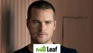 The Ultimate Leading Man: How Chris O’Donnell Built a Hollywood Legacy on His Own Terms