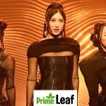 KPop Demon Hunters Huntrix Pictures: Meet Rumi, Mira & Zoey