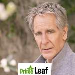 Scott Bakula: The Quantum Leap Star’s Life, Wife, Family, and Career Journey in 2026