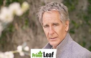 Scott Bakula: The Quantum Leap Star’s Life, Wife, Family, and Career Journey in 2026