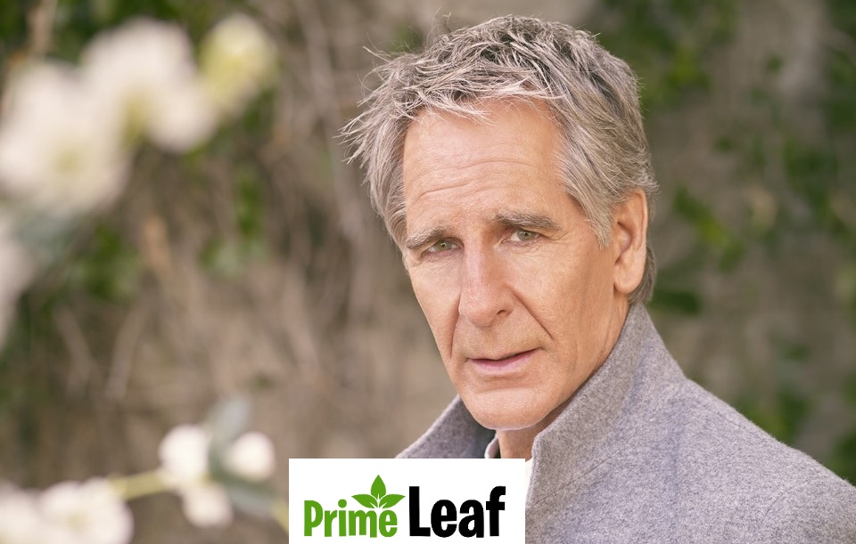 Scott Bakula: The Quantum Leap Star’s Life, Wife, Family, and Career Journey in 2026