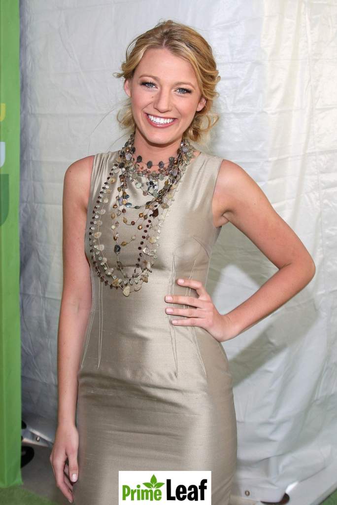 Blake Lively early Gossip Girl red carpet look 2008 Blake Lively early Gossip Girl red carpet look 2008