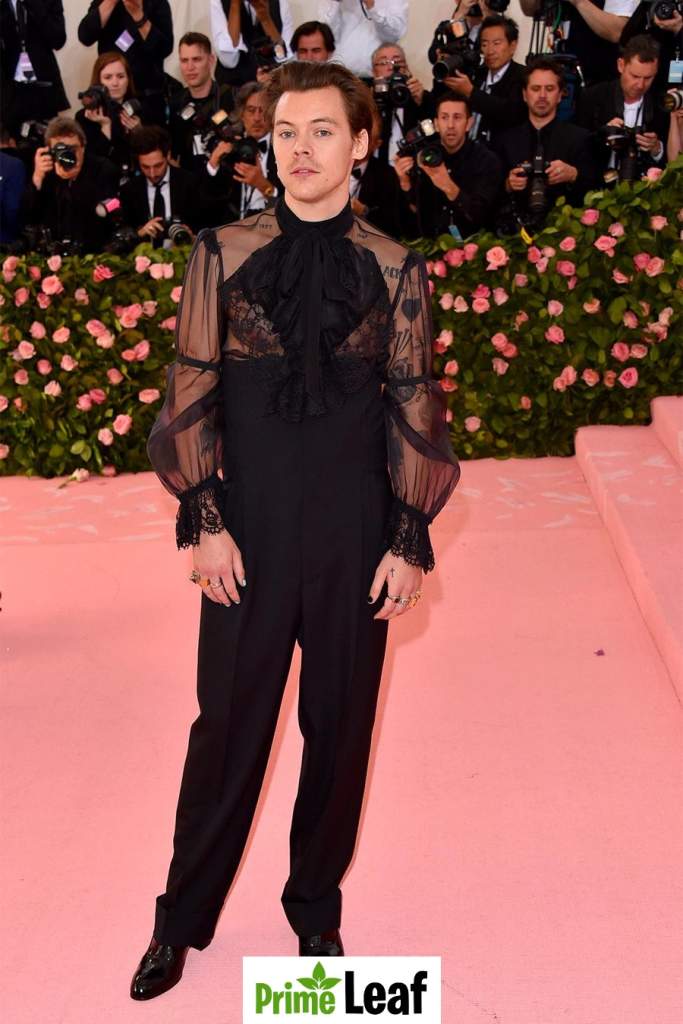 Harry Styles Gucci suit red carpet fashion 2019 Harry Styles Gucci suit red carpet fashion 2019