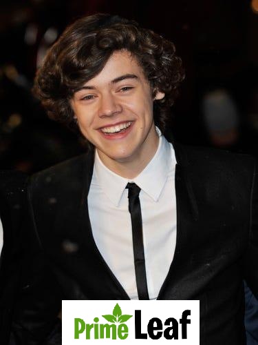 Harry Styles One Direction red carpet suit 2012