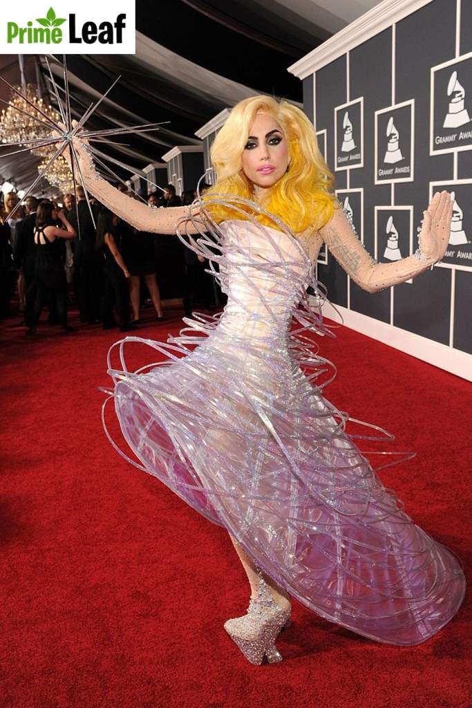 Lady Gaga early outrageous red carpet outfit 2010 Lady Gaga early outrageous red carpet outfit 2010