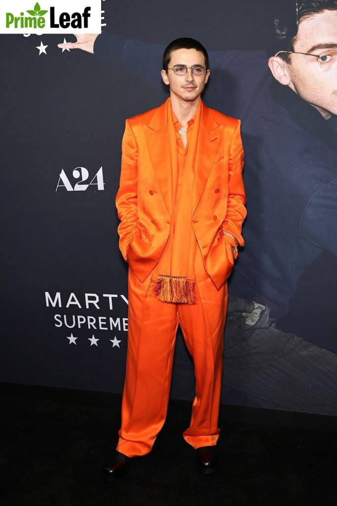 Timothee Chalamet latest red carpet fashion outfit 2026 Timothee Chalamet latest red carpet fashion outfit 2026