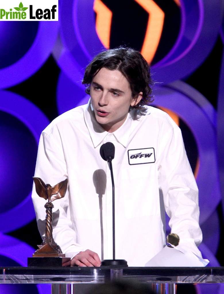 Timothee Chalamet Call Me By Your Name awards look 2018 Timothee Chalamet Call Me By Your Name awards look 2018