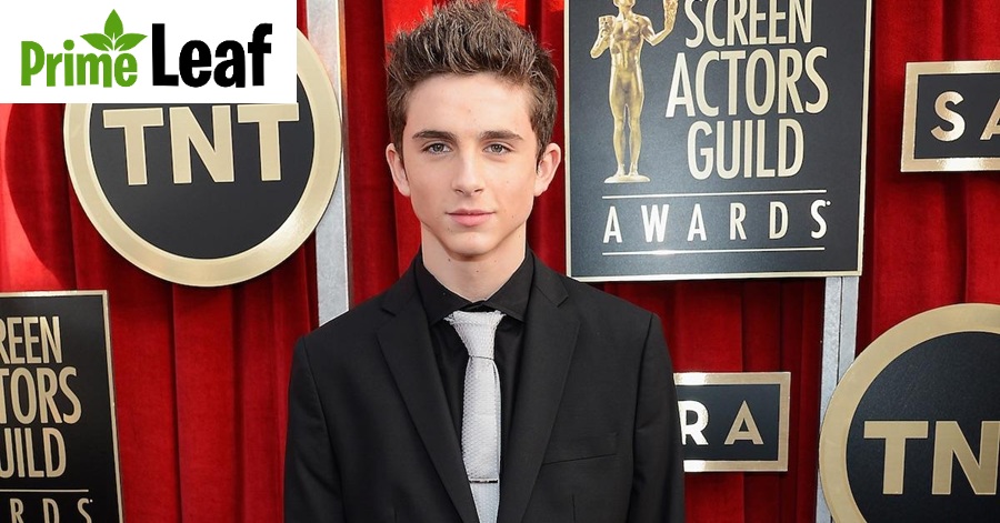Timothee Chalamet early career red carpet appearance 2014 Timothee Chalamet early career red carpet appearance 2014