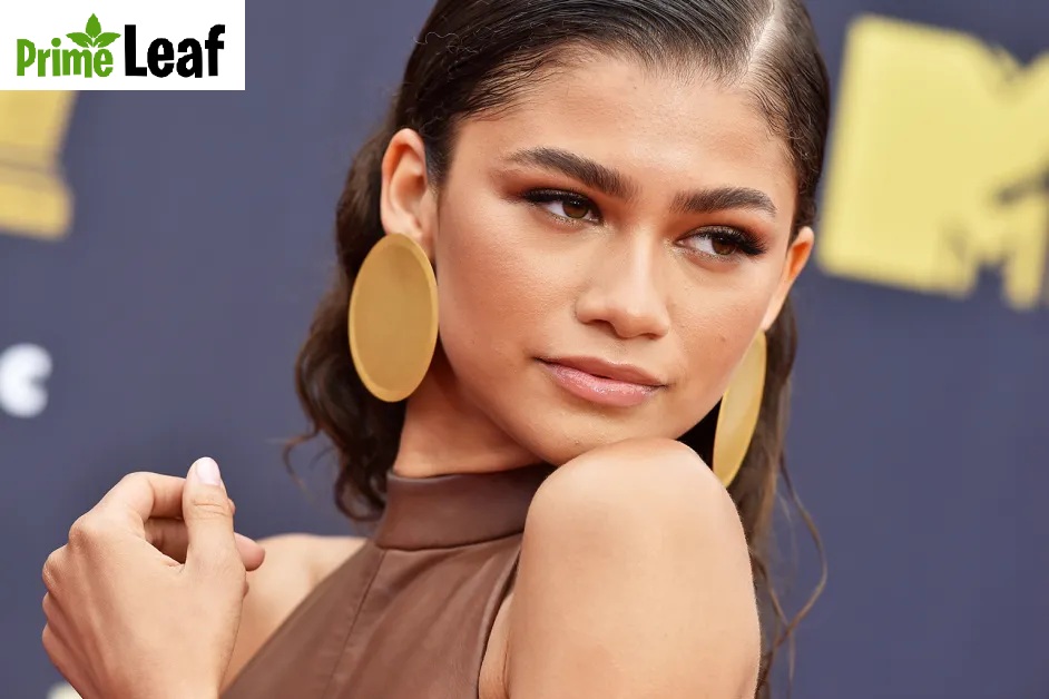 Zendaya 2019 red carpet look