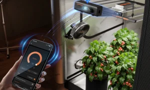 Let There Be Light: How LED Grow Lights Coax Your Houseplants Into Their Most Radiant Selves