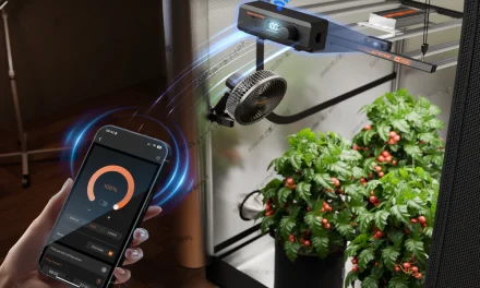 Let There Be Light: How LED Grow Lights Coax Your Houseplants Into Their Most Radiant Selves